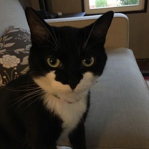 Meet your Posher, Catherine